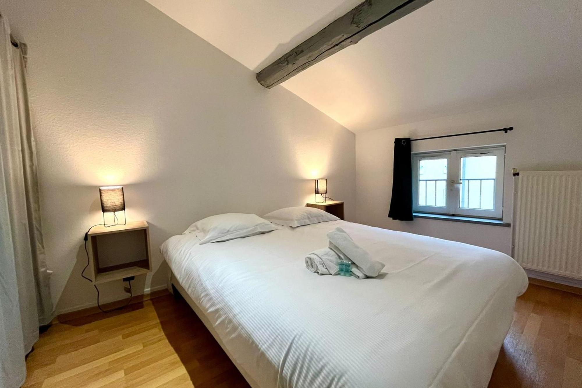 Le Duplex Des Dames Apartamento Nancy Exterior foto